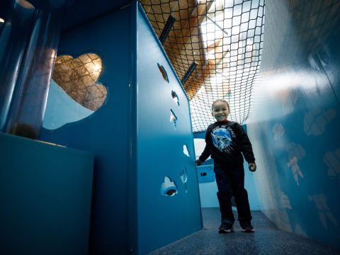 Kansas Kids Connect Permanent Exhibit At Exploration Place In Wichita KS 7