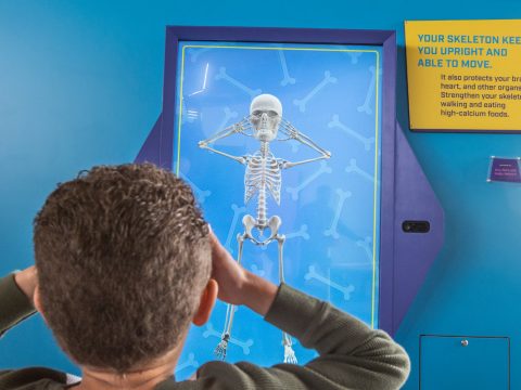 Health Inside Out Permanent Exhibit At Exploration Place In Wichita KS 26