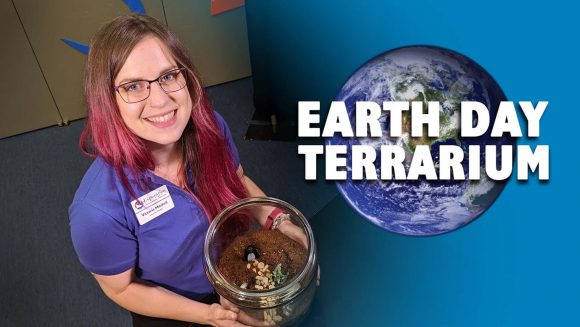 Build Your Own Terrarium Educational Resource Video Activity By Exploration Place