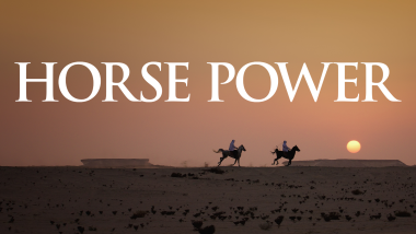 HorsePower Grid