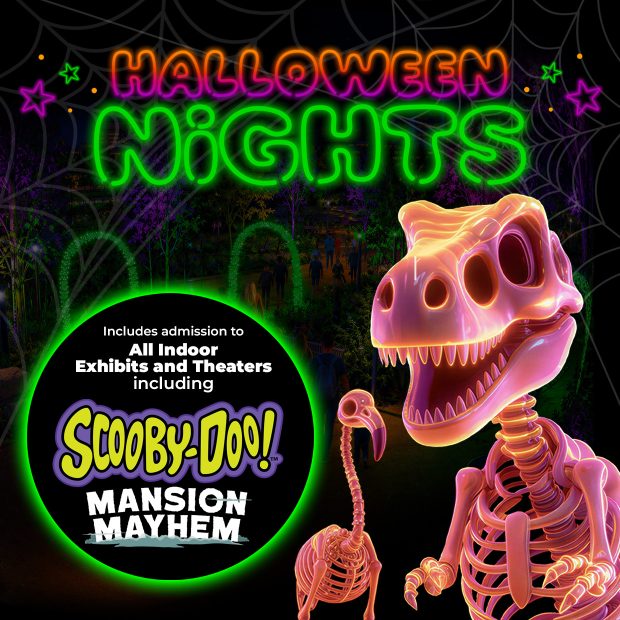 HalloweenNights 2026 1240x1240 2