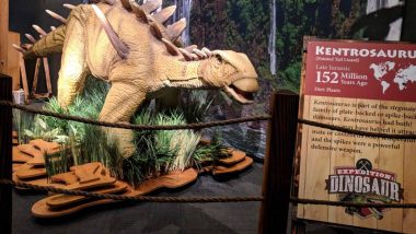 Expedition Dinosaur Traveling Exhibit at Exploration Place in Wichita KS-6