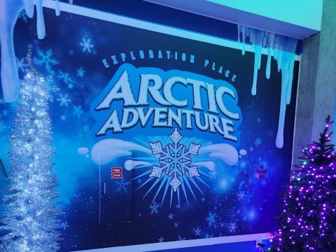 ArcticAdventure Gallery4